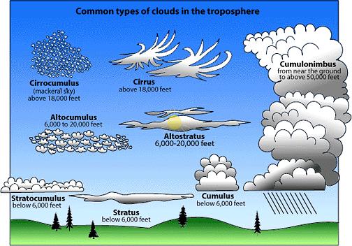 Types of Clouds (from ucar.edu website)